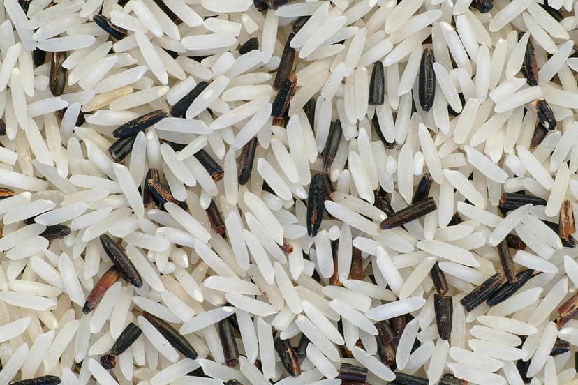 Basmati Rice – Pusa Basmati, 50 kg