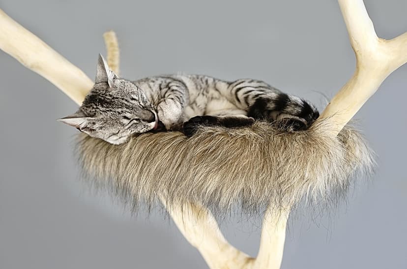 Cat Scratching Post – 80 cm, Sisal Rope