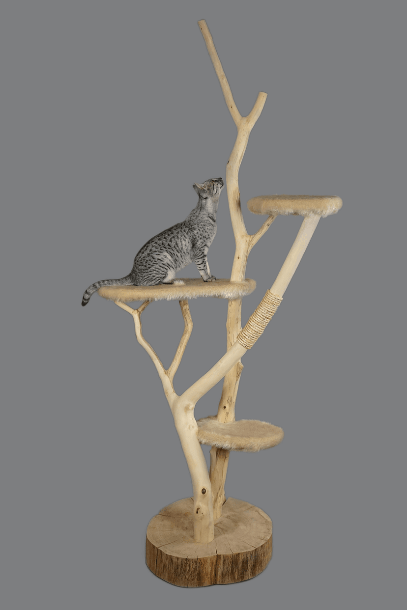 Cat Scratching Post – 120 cm Tree, Sisal Rope
