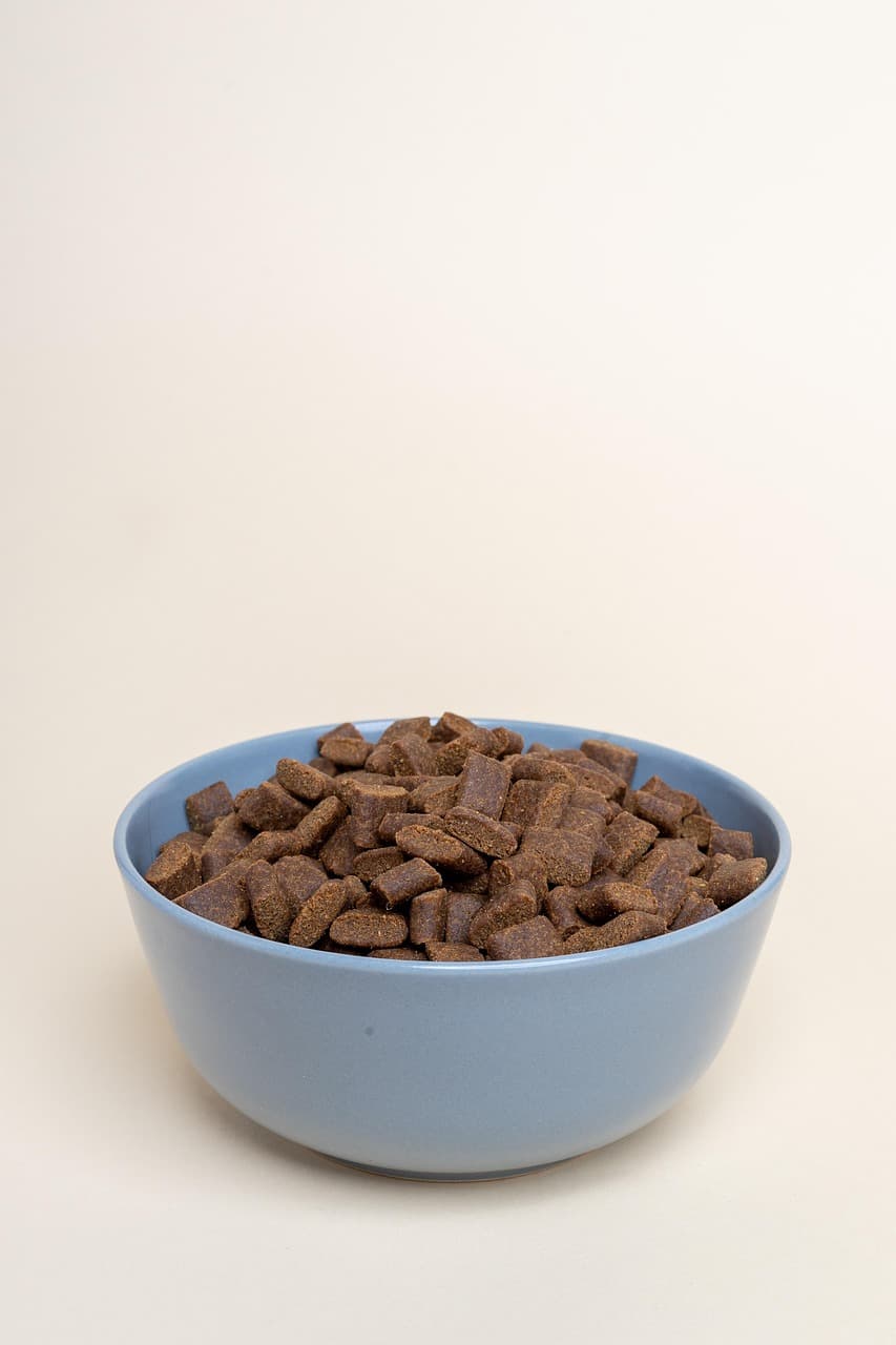 Dry Dog Food – Lamb & Rice, 3 kg