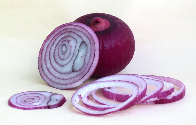 Fresh Onion – White, 40–55 mm