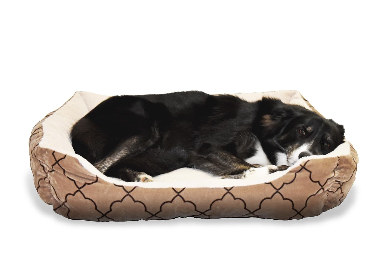 Orthopedic Pet Bed – Medium, Fibre
