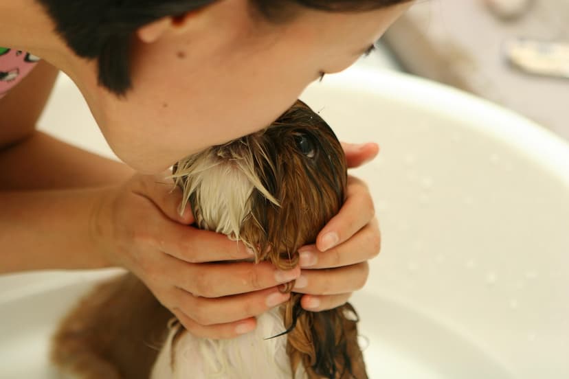 Pet Grooming Shampoo – Puppy, 1 L