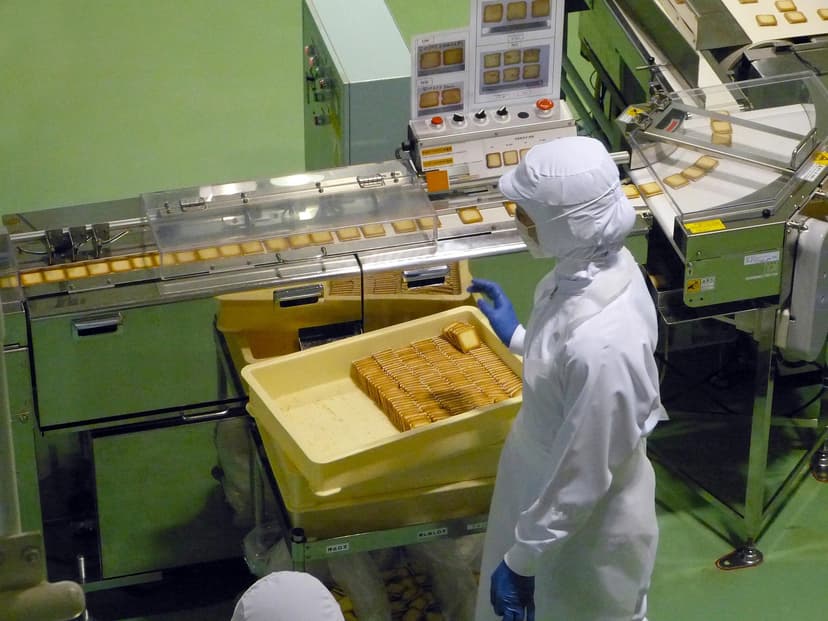 Pouch Packing Machine – Pneumatic FFS, 20 ppm