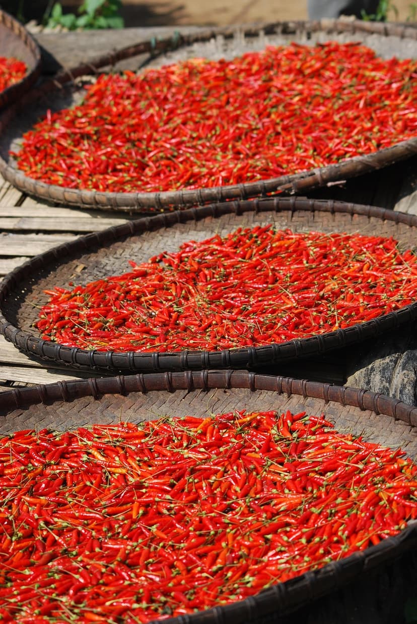 Red Chilli (Whole) – Byadgi, Stemless