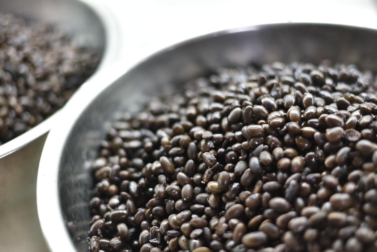 Soybean Meal (DOC) – 48%, Feed Grade