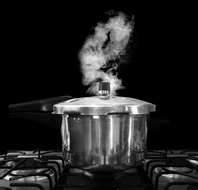 Stainless Steel Pressure Cooker – 3 L, Gas