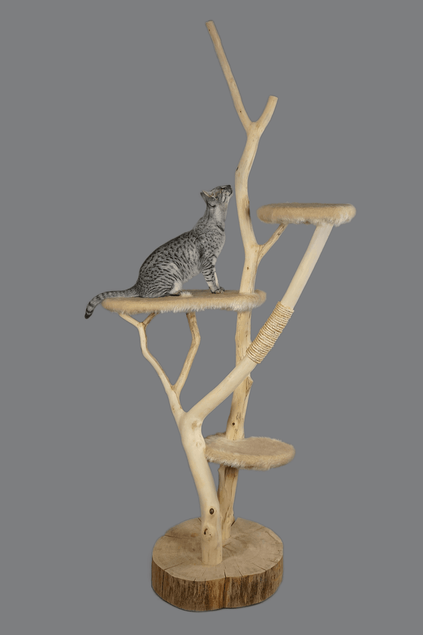 Cat Scratching Post – 120 cm Tree, Jute