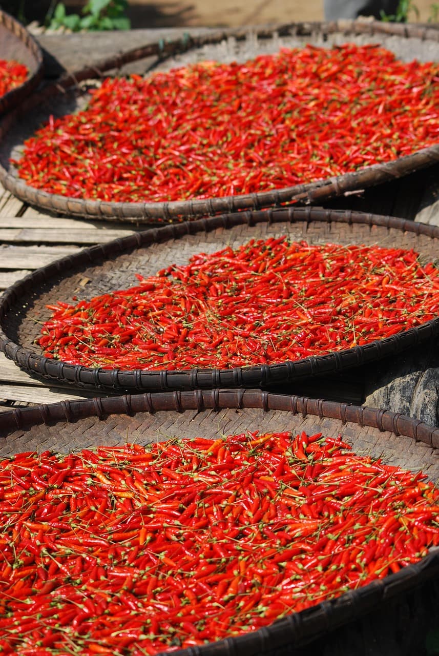 Red Chilli (Whole) – Byadgi, Stemless